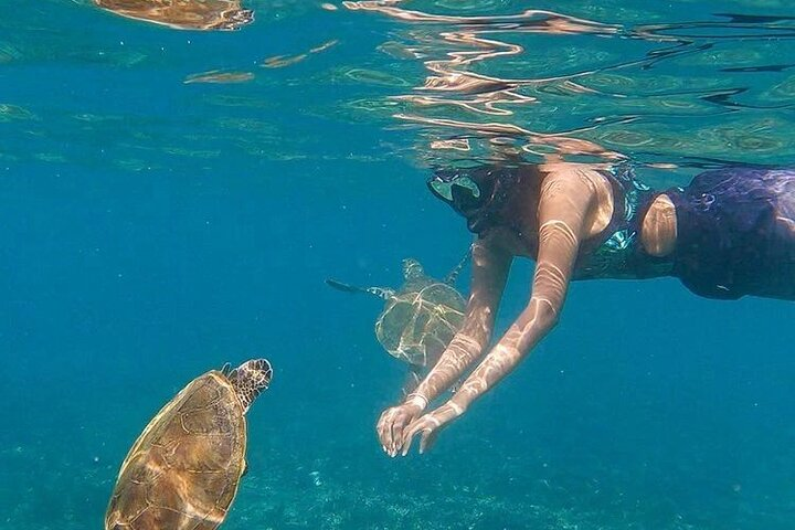 Daymaniyat Islands Snorkeling Tour - Swim with Turtles & Kayaking - Photo 1 of 19