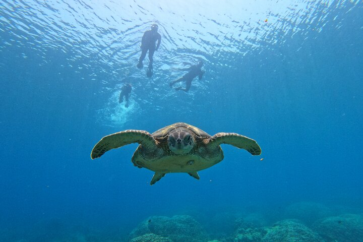 Daymaniyat Islands Snorkeling Sharing Trip - Photo 1 of 25