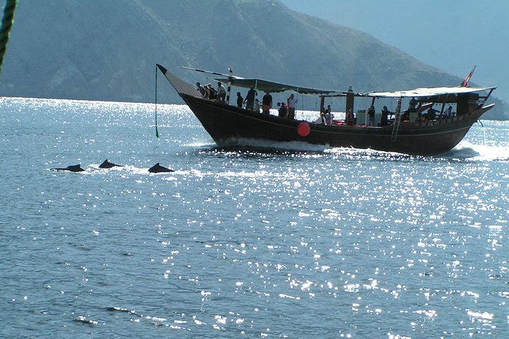 Dolphin Watching Cruise from Muscat - Photo 1 of 9