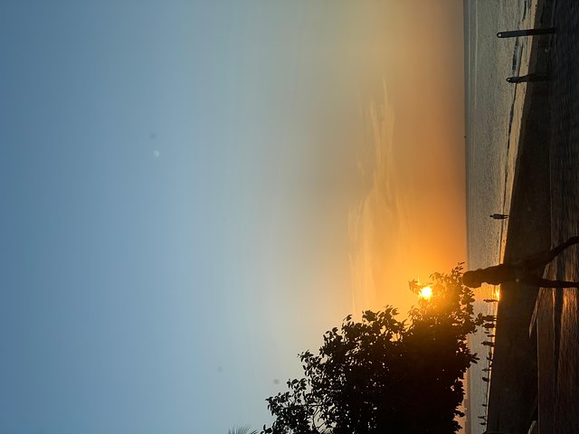 Muscat : Half day visit to Muscat - Photo 1 of 7