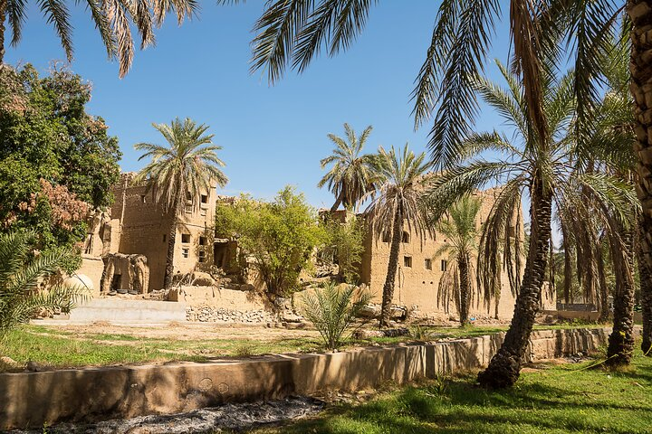 Nizwa and Oman's Historical Gems Tour - Photo 1 of 25
