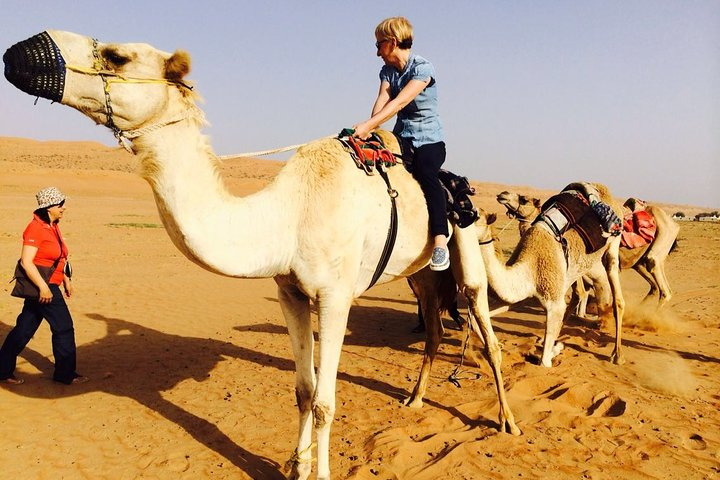 Ost-10 Coast to Desert Tour (03 Nts & 04 Days) - Photo 1 of 6