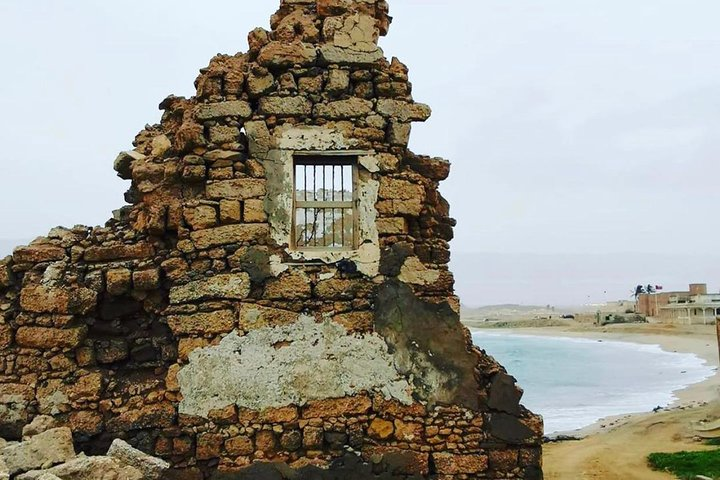 Salalah Mountain Jungle Safari Tour (Full Day Tour) - Photo 1 of 10