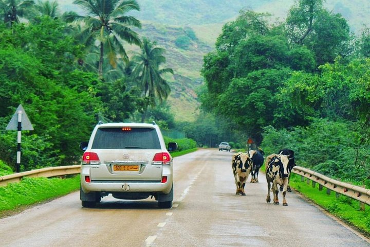 Salalah Mountain Safari Tour 2(Full Day Tour) - Photo 1 of 18