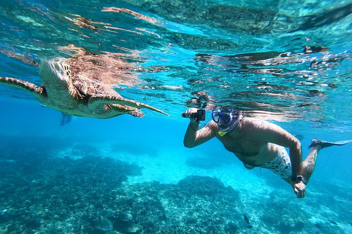 snorkeling