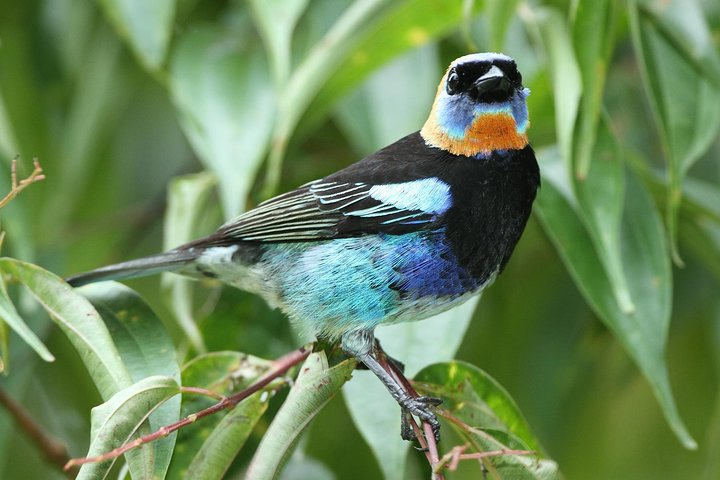 Birding Metropolitan Natural Park - Photo 1 of 7