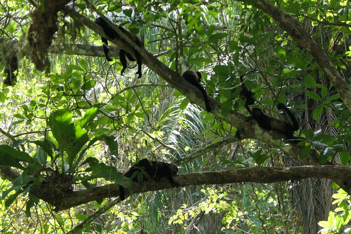 fantastic wildlife and relaxing time