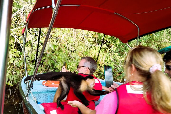 Monkey Island and Panama Canal Tour - Photo 1 of 13