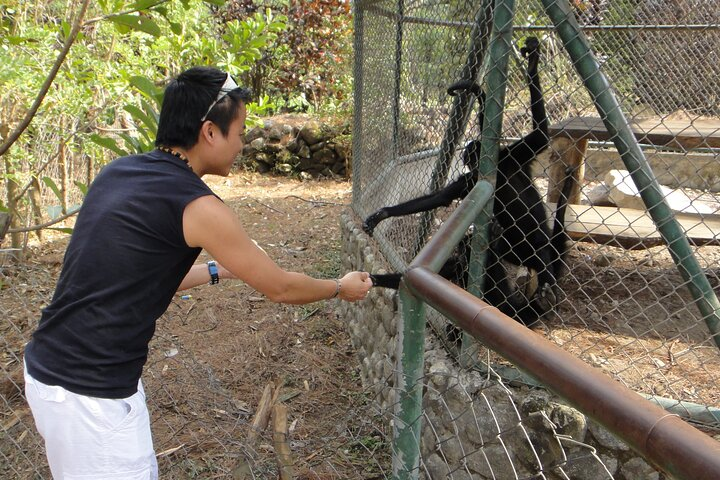 Full Day El Valle de Anton Enchantment Tour with Private Guide - Photo 1 of 7