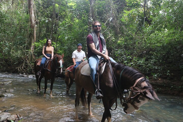 Horseback Riding in the jungle near Panama City - Photo 1 of 25