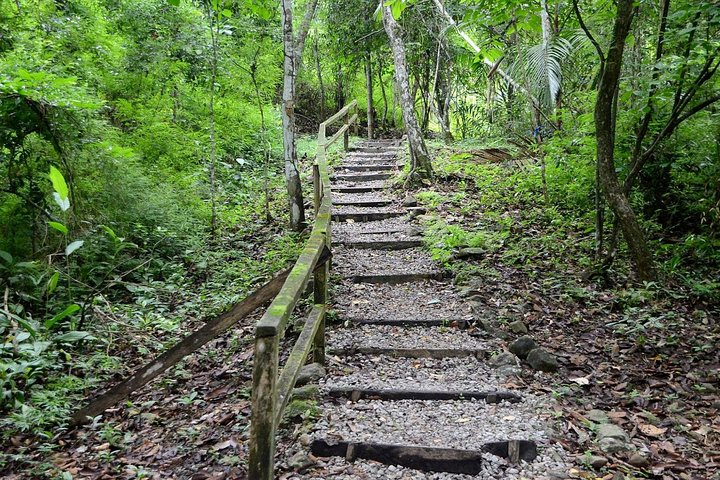 Metropolitan Park and Ancon Hill - Photo 1 of 7