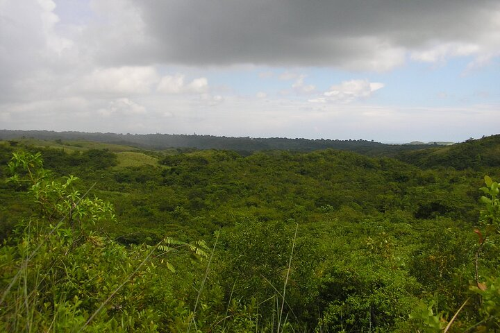 Explore 53 hectares (131 acres) of farm land to explore, with 2 Kms of river