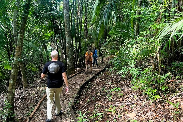 Guided hike in the Metropolitan Park of Panama - Photo 1 of 17