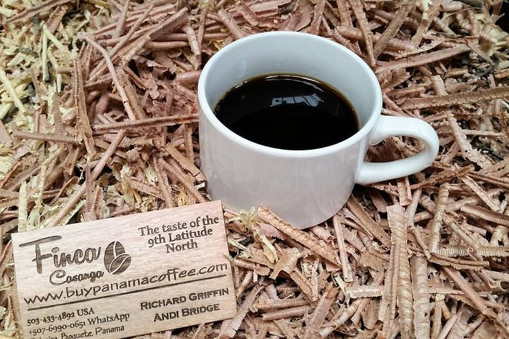 Small, Hands-on Coffee Tour  - Photo 1 of 12