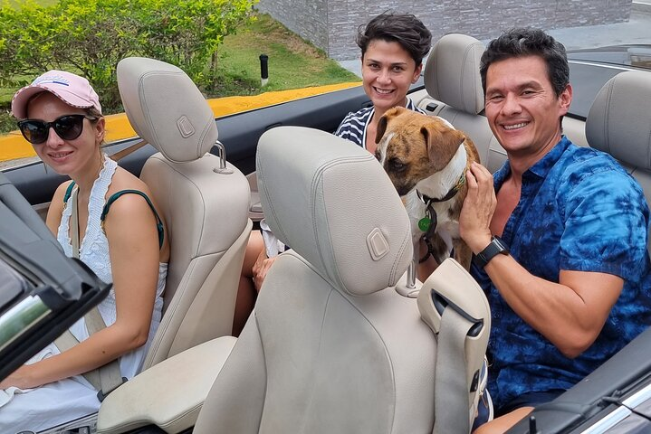 Luxury convertible tour.