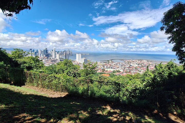 The view from the top.