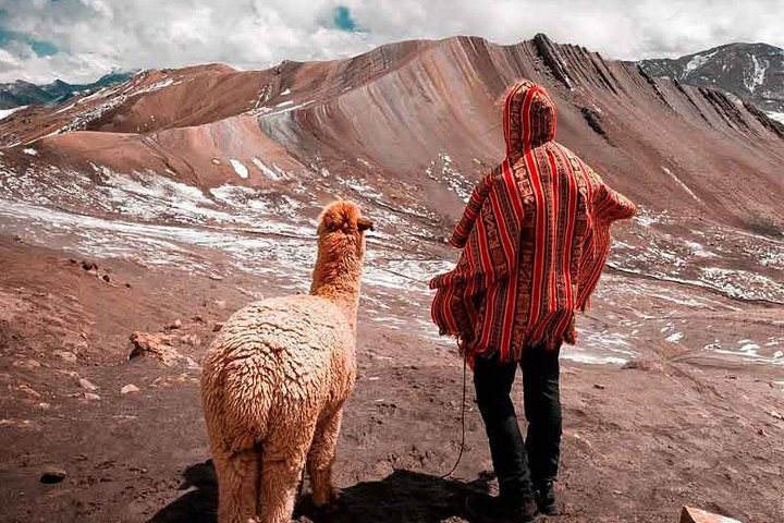 Boy and his Alpaca in the Cordillera Palcoyo