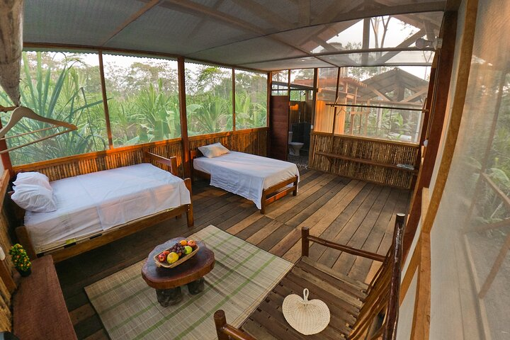 2-Day Jungle Tour: Lake Sandoval, Monkey Island, Hikes, Caiman, & Clay Lick  - Photo 1 of 10