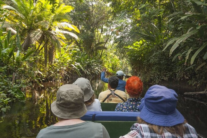 4-Day Amazon Jungle Tour From Iquitos - Photo 1 of 9