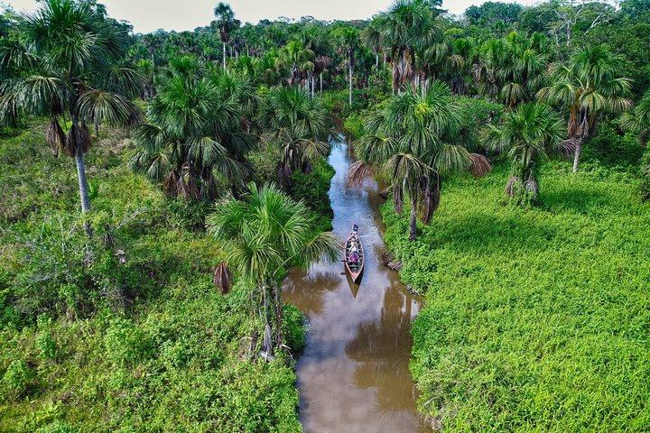 4-Day Tambopata Amazon Rainforest Adventure - Photo 1 of 17