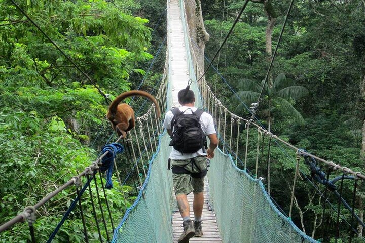 4-Day Tambopata National Reserve - Tambopata Peru Tours - Photo 1 of 3