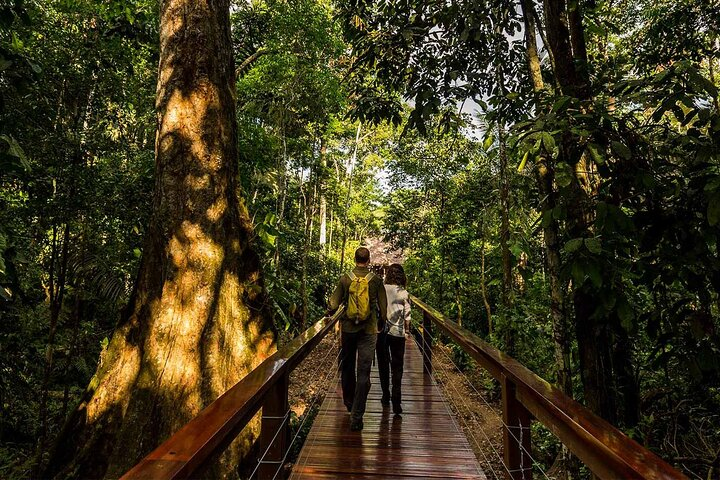 4 Day Tour in Tambopata National Reserve - Photo 1 of 4