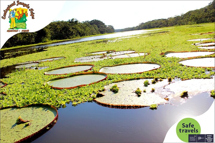 4 Day Wildlife and Campsite - Ecological Jungle Trips - Photo 1 of 25