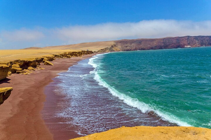 Paracas : 4-Hour Guided Tour of the National Reserve - Photo 1 of 4