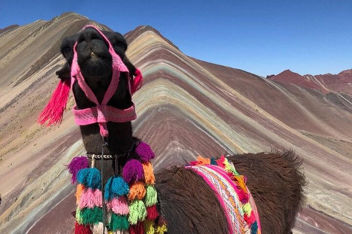5-Day Cusco Adventure: Machu Picchu, Vinicunca & Singrenacocha  - Photo 1 of 22