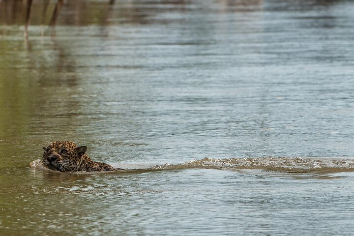 5-Day Manu Expedition . - Photo 1 of 9