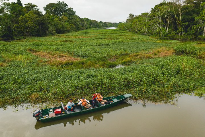 6-day Tour in the Amazon Rainforest at Curassow Amazon Lodge - Photo 1 of 25