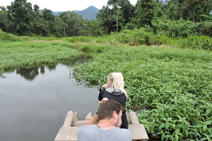 Amazon Jungle Tour 3 days  - Photo 1 of 12
