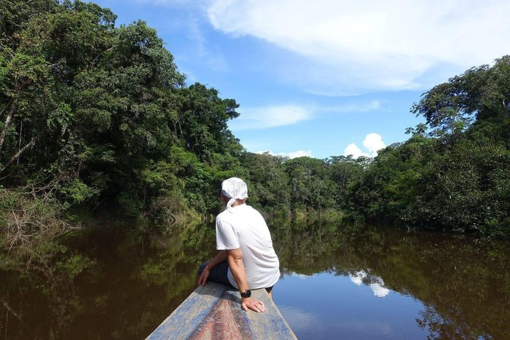 Amazon Wildlife Excursions 2/ Days /1 night - Photo 1 of 10