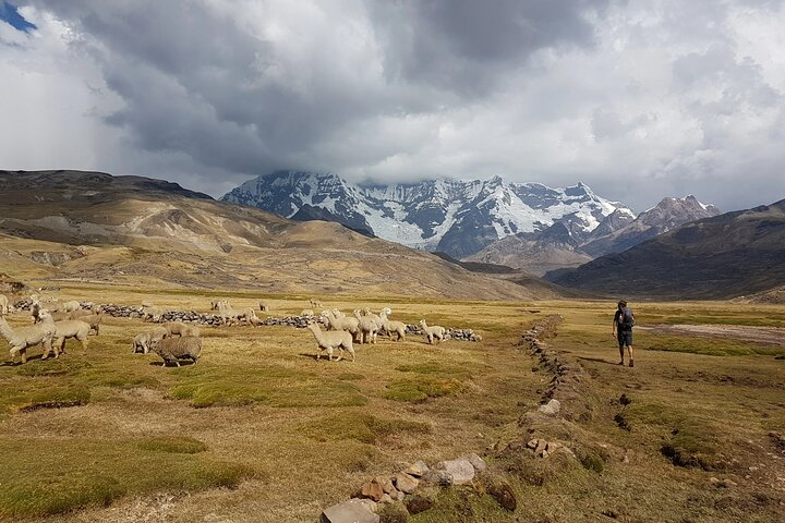 Ausangate Trek 4 Days - Huaynas Expeditions - Photo 1 of 7