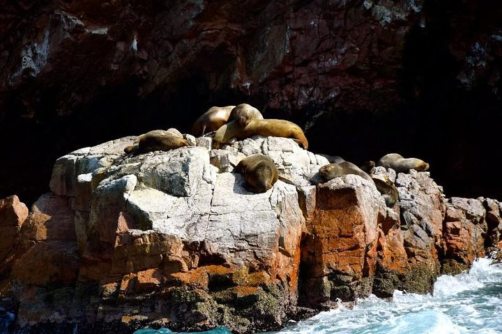 Ballestas Islands