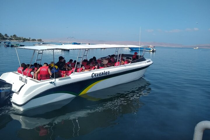 Ballestas Islands Tour Boat with roof - Photo 1 of 6