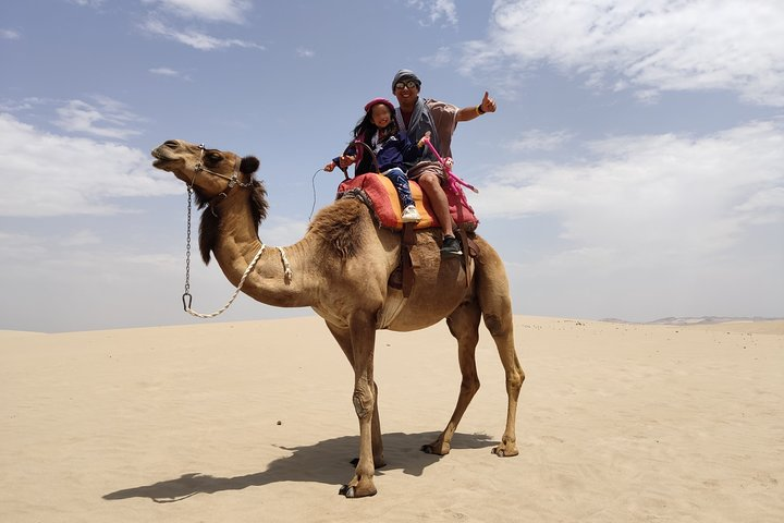 Camel ride Duo