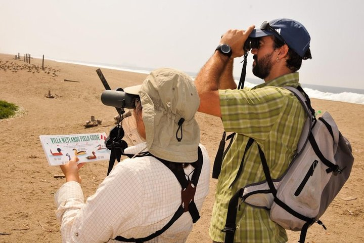Our guides in the field