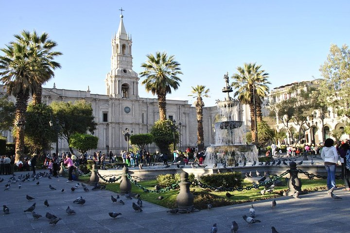 Bus CityTour In Arequipa Guided vis