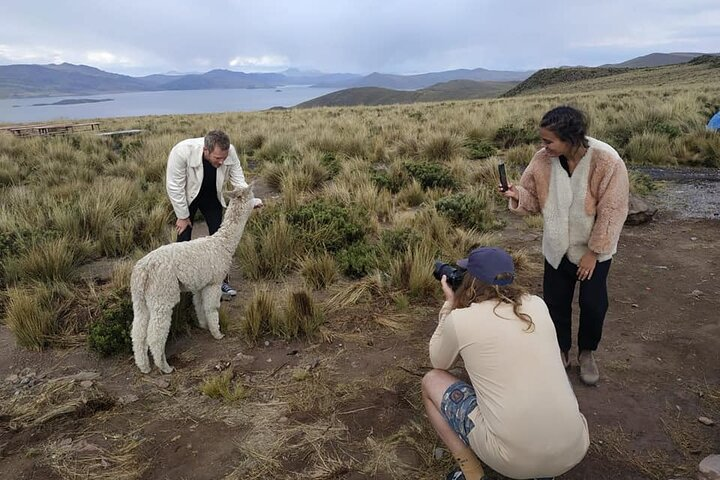Chivay to Puno Bus Transfer - Photo 1 of 6
