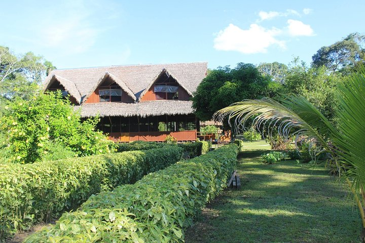Chuncho Macaw Collpa - 3 Days / 2 Nights - Photo 1 of 5