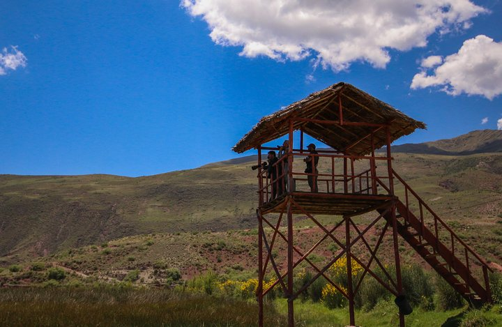 Birdwatching at Huacarpay Wetland in Cusco - Photo 1 of 11