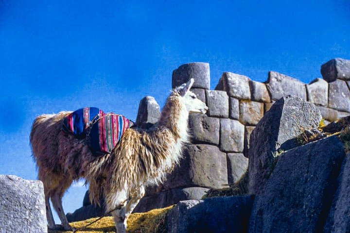 From Cusco City Tour Four Ruins Half Day Tour - Photo 1 of 8