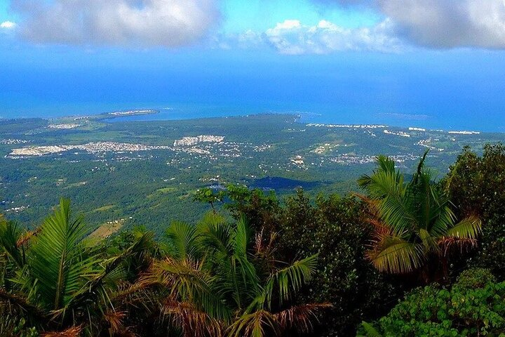 El Yunque Rainforest Guided Tour  - Photo 1 of 6