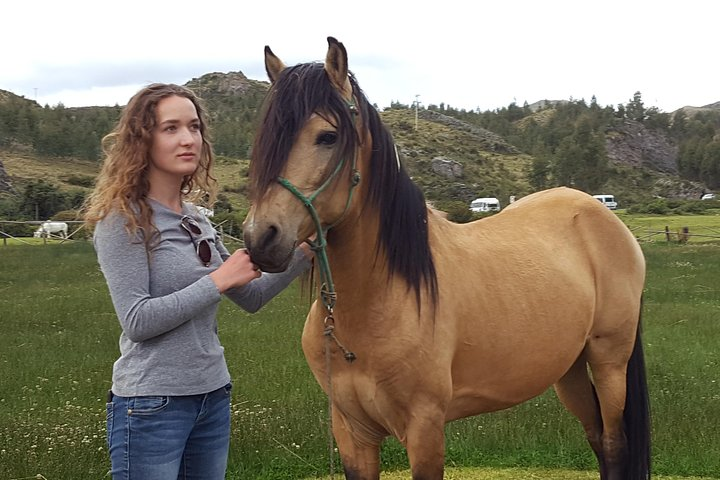 The Great Wall of Sacasayhuaman