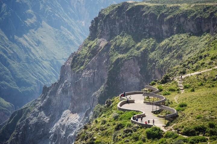 Condor Cross Viewpoint