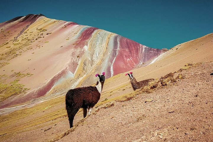 Full Day Rainbow Mountain Tour from Cusco with Hotel Transfer - Photo 1 of 11