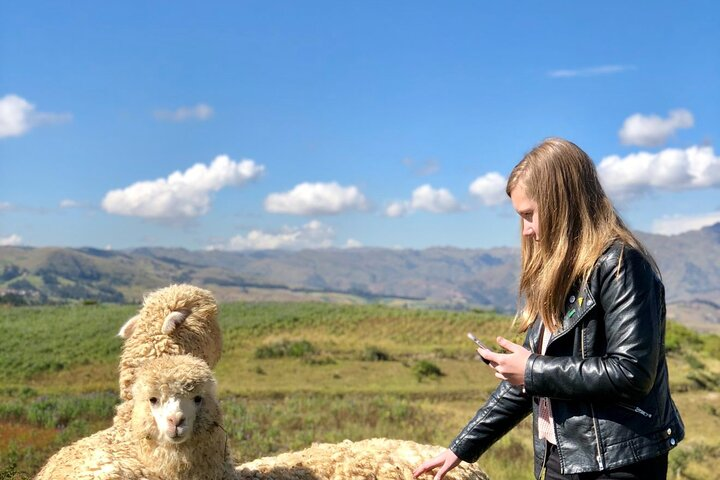Half-Day Acclimatization Hike with Llamas and Alpacas in Cusco - Photo 1 of 10