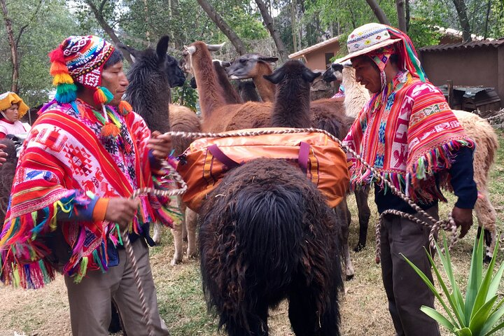 Half Day Andean Llama Trek in the Sacred Valley  - Photo 1 of 6