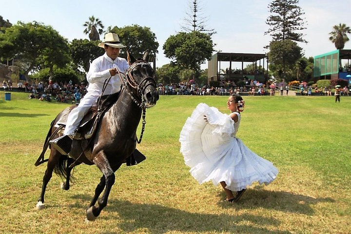Half Day Tour - Horse Exhibition at "Valle de Lurín" + Lunch - Photo 1 of 6